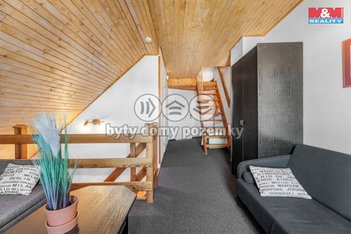 Prodej, Hotel, penzion, Harrachov