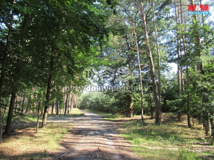 Prodej, Chata, Kropáčova Vrutice