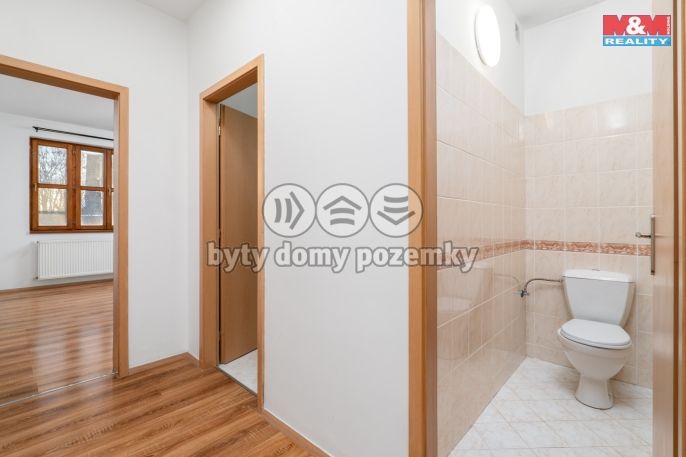 Pronájem, Byt 1+1, Chlumec