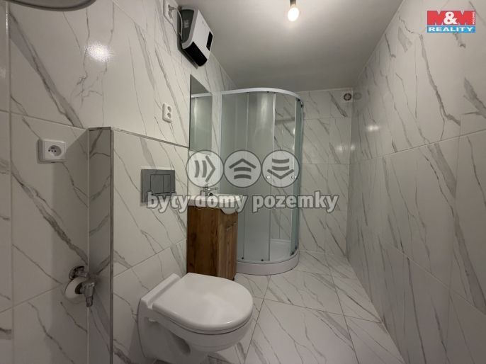 Prodej, Rodinný dům, Určice