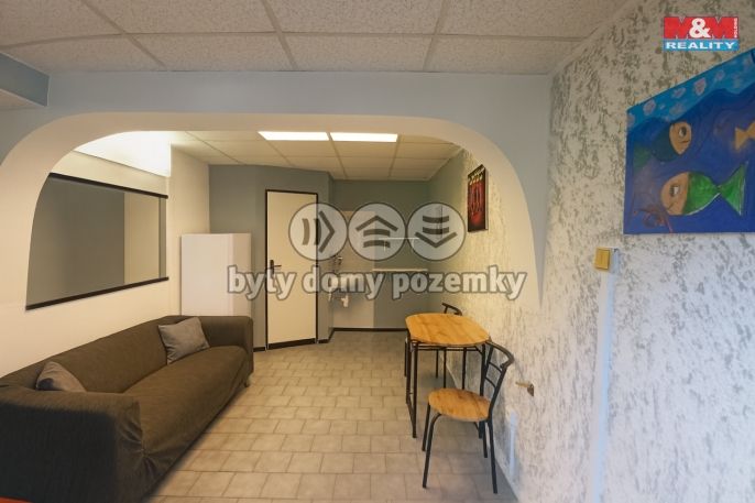 Pronájem, Ostatní, Most