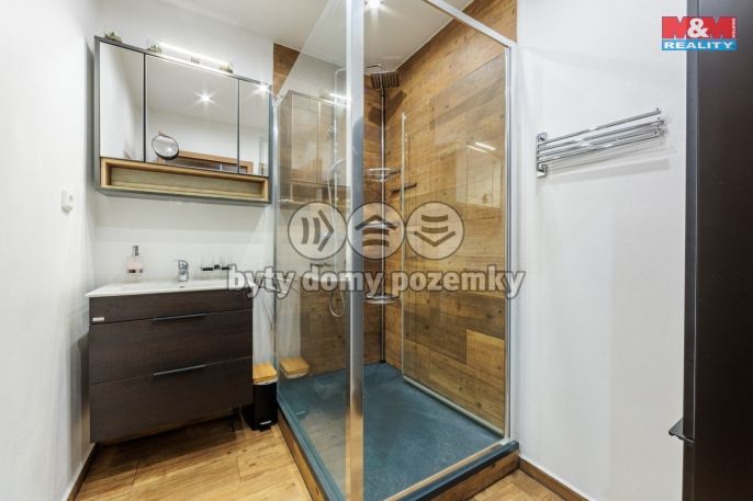 Pronájem, Byt 3+kk, Březová