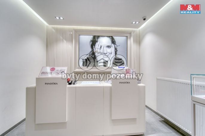 Pronájem, Obchod a služby, Plzeň