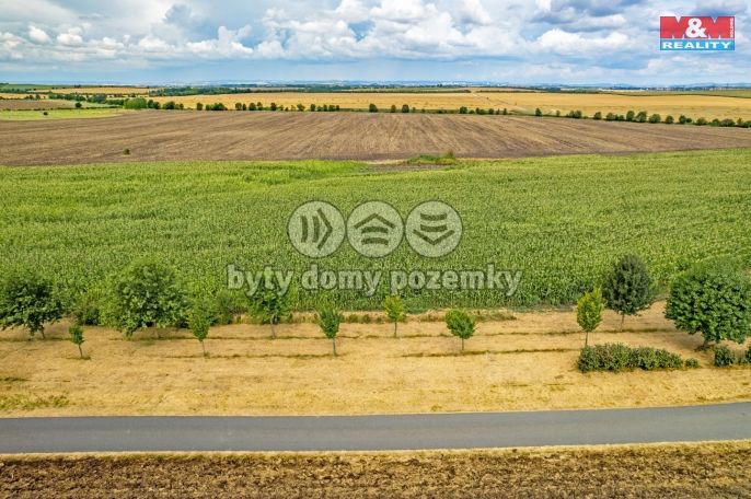 Prodej, Pole, Žatčany