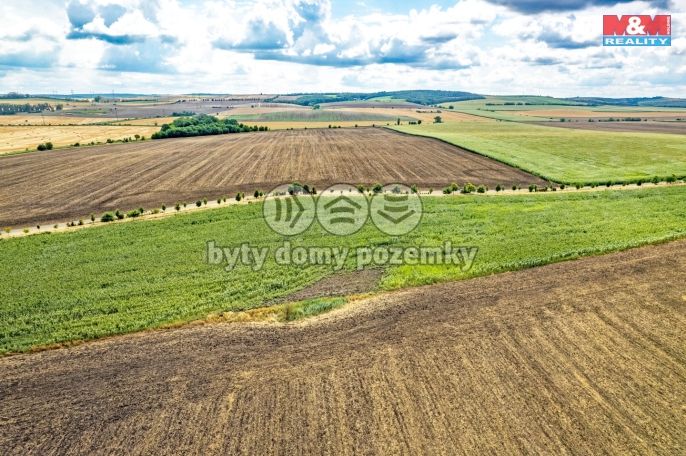 Prodej, Pole, Žatčany