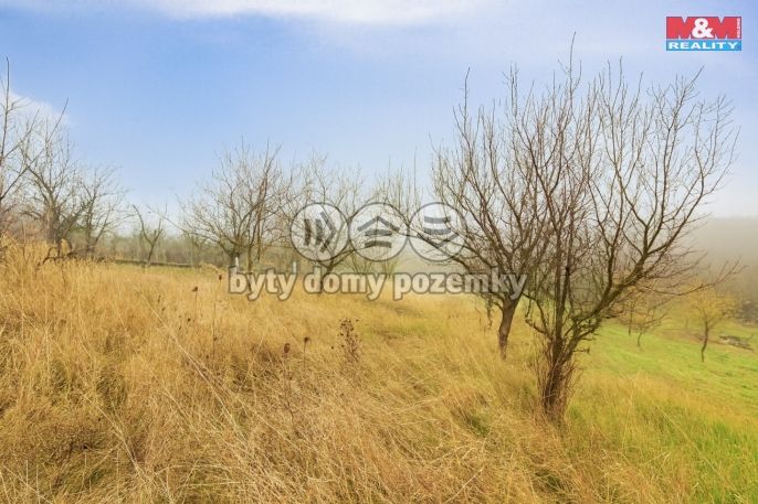 Prodej, Vinice, Bukovany