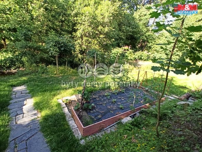 Pronájem, Chata, Dolany