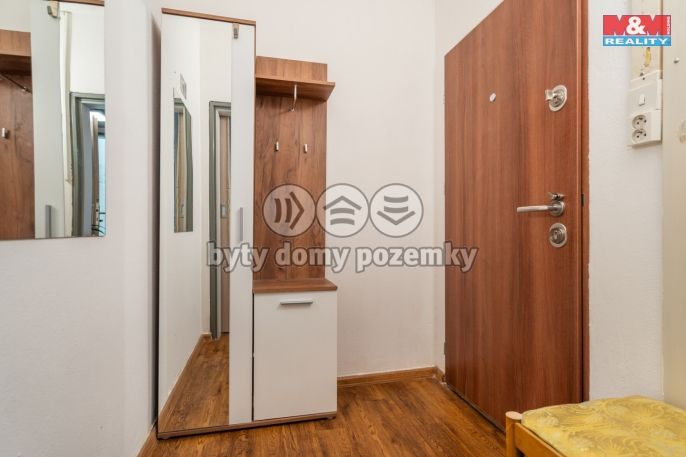 Prodej, Byt 1+1, Zliv