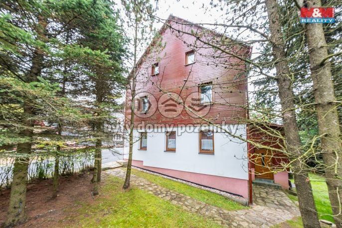 Prodej, Hotel, penzion, Loučná pod Klínovcem