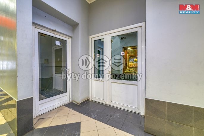 Pronájem, Byt 1+kk, Cheb