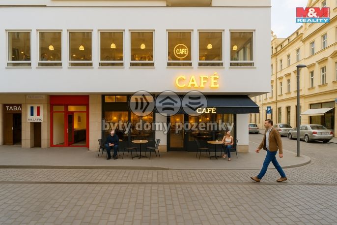 Pronájem, Restaurace, stravování, Plzeň