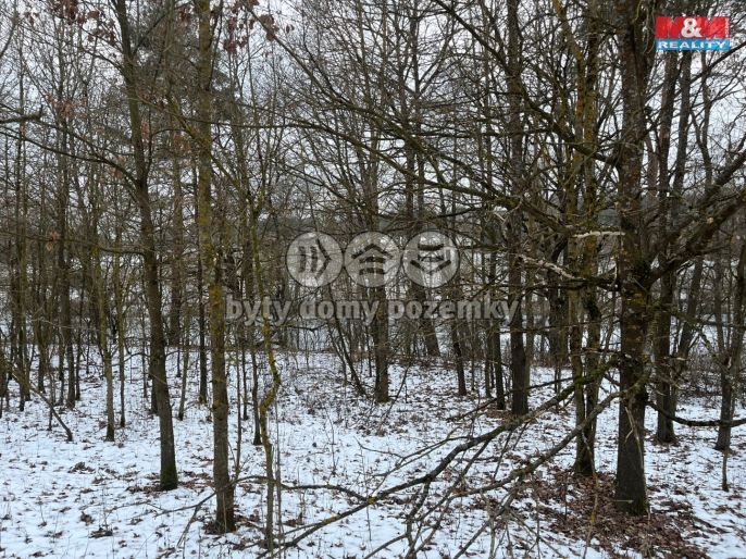 Prodej, Pole, Písek