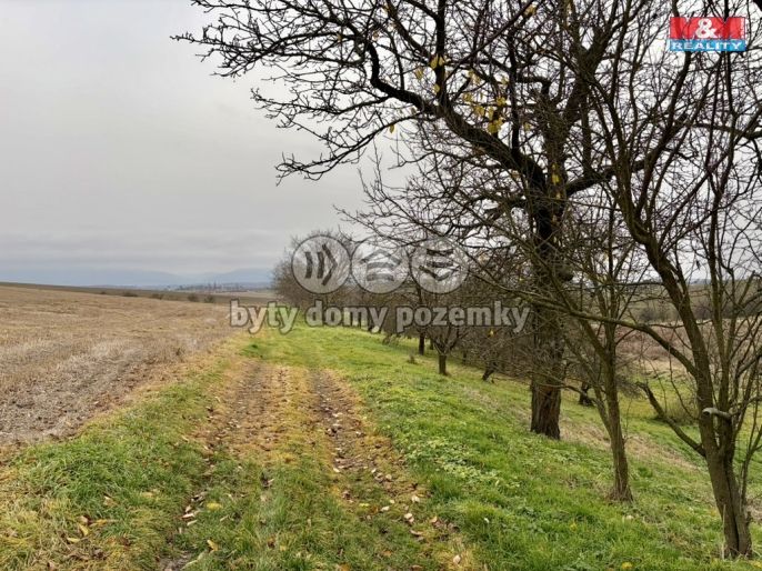 Prodej, Zahrada, Bezuchov