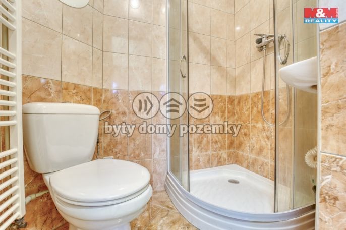 Pronájem, Provozní plocha, Zbůch