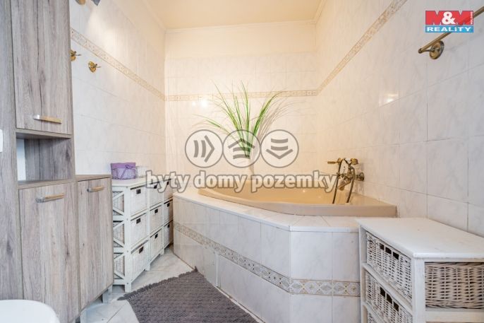 Prodej, Obchod a služby, Čížová