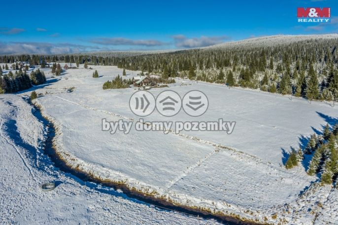 Prodej, Louka, Kořenov