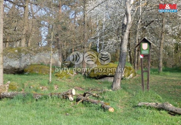 Prodej, Les, Petrovice