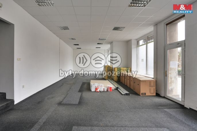 Pronájem, Obchod a služby, Český Těšín