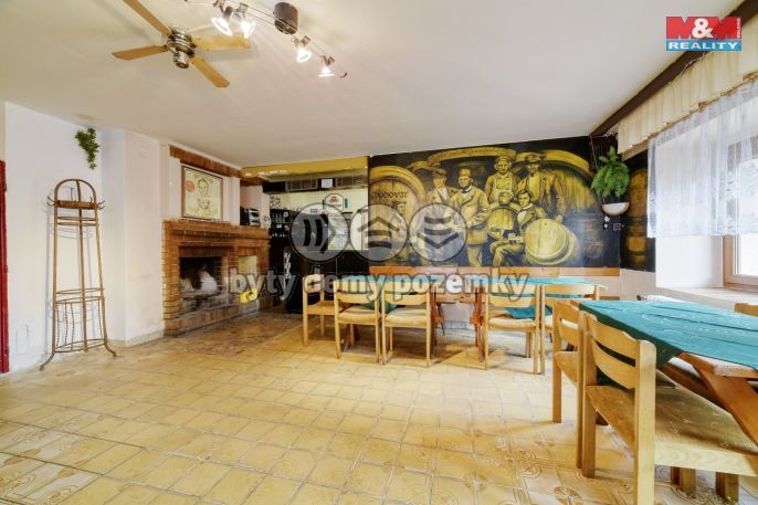 Prodej, Rodinný dům, Lázně Kynžvart