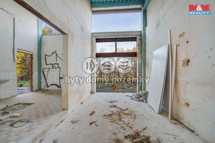 Prodej, Hotel, penzion, Havlovice