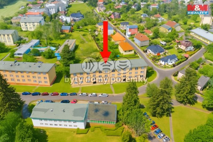 Pronájem, Byt 2+1, Nová Role