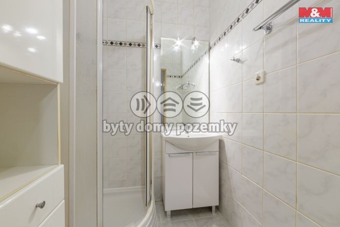 Pronájem, Byt 2+1, Bochov