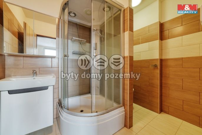 Pronájem, Byt 1+kk, Cheb
