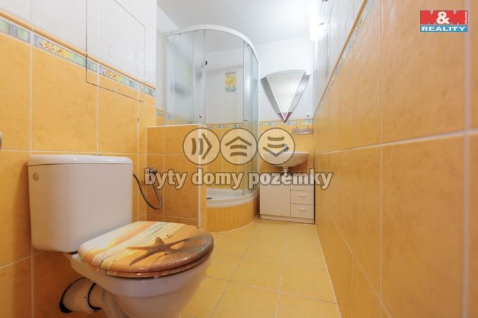 Pronájem, Byt 2+1, Sokolov