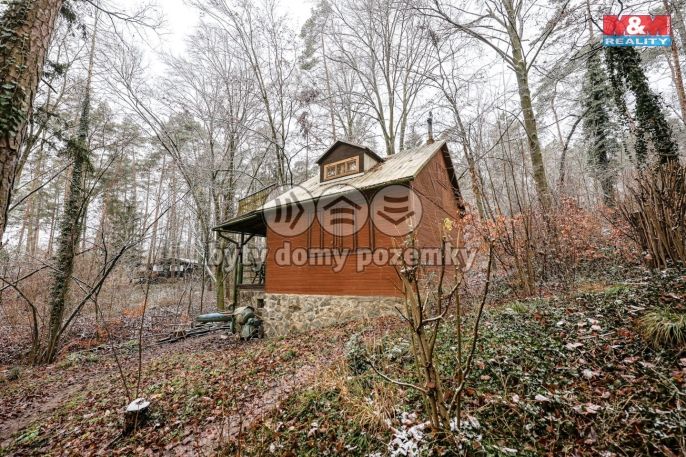 Prodej, Ostatní, Brno