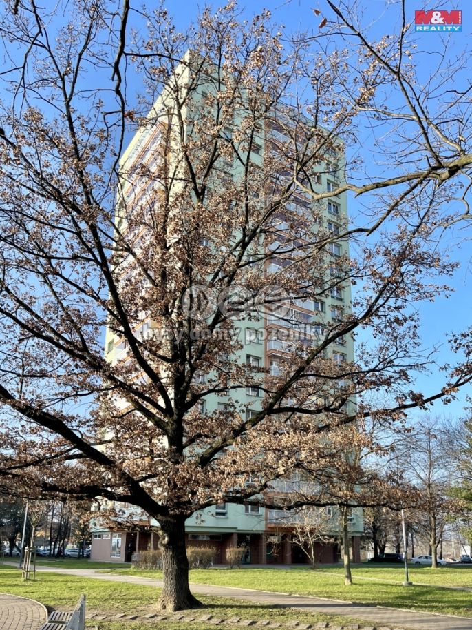 Prodej, Byt 2+1, Ostrava