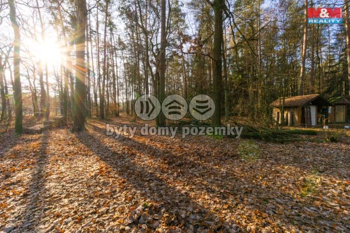Prodej, Chata, Týniště nad Orlicí