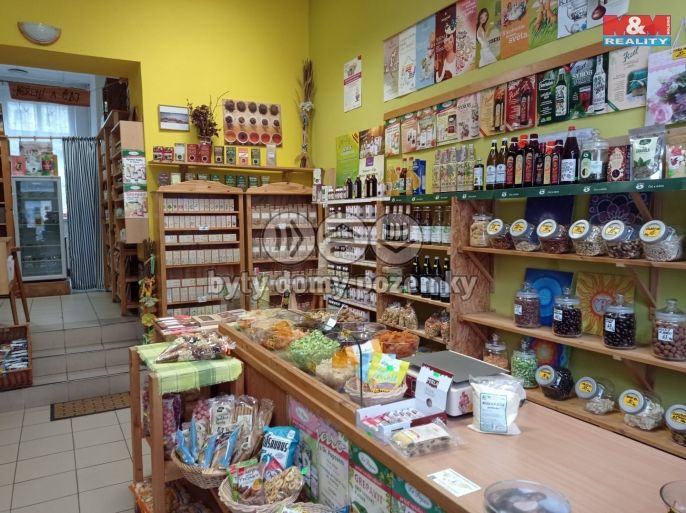 Pronájem, Obchod a služby, Český Těšín