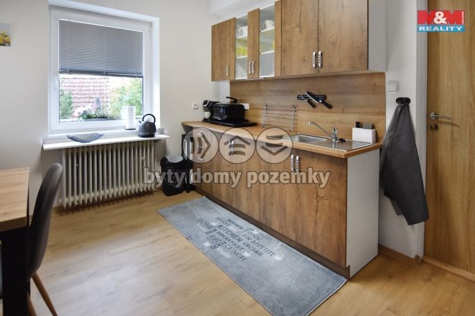 Pronájem, Byt 1+kk, Plazy