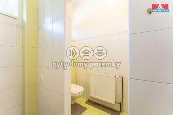 Pronájem, Byt 3+kk, Bezno