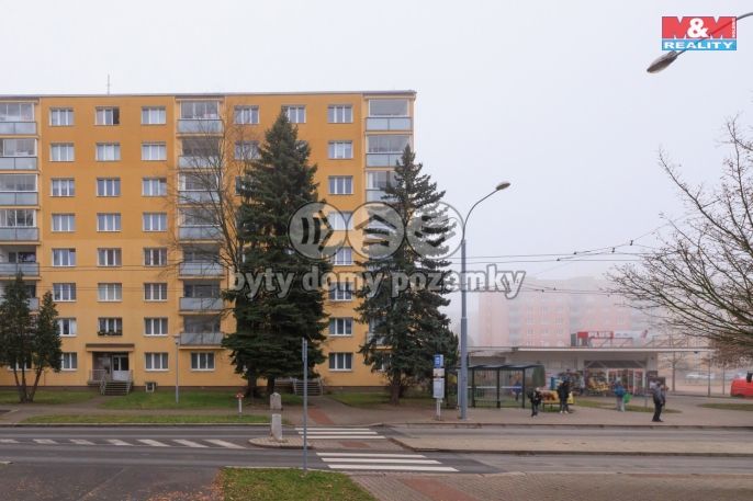 Pronájem, Byt 1+1, Plzeň