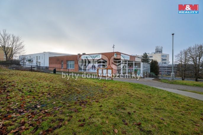 Pronájem, Ostatní, Ústí nad Labem