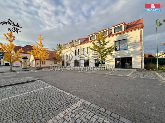 Pronájem, Obchod a služby, Blatná