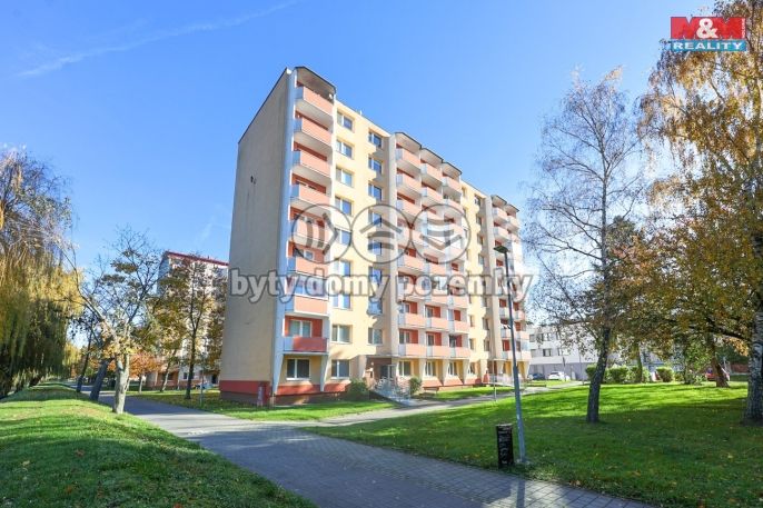 Prodej, Byt 1+1, Napajedla