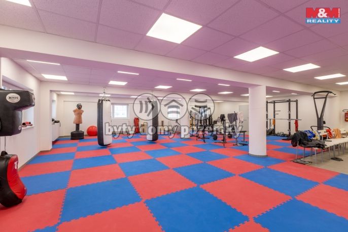 Pronájem, Kancelářský prostor, Louny