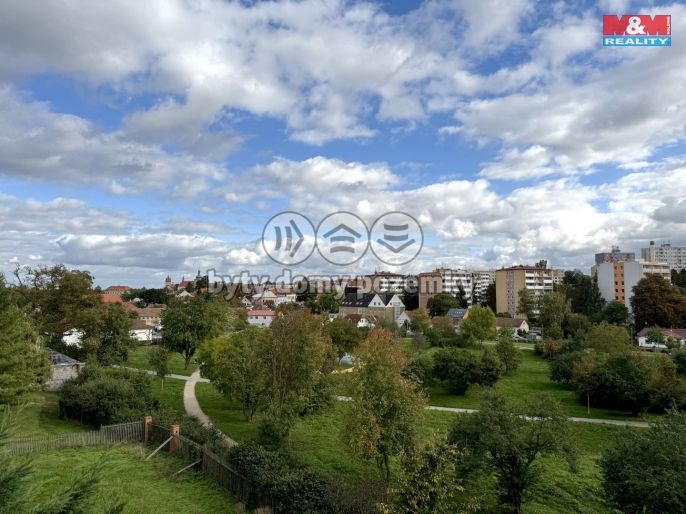 Pronájem, Byt 1+kk, Brandýs nad Labem-Stará Boleslav