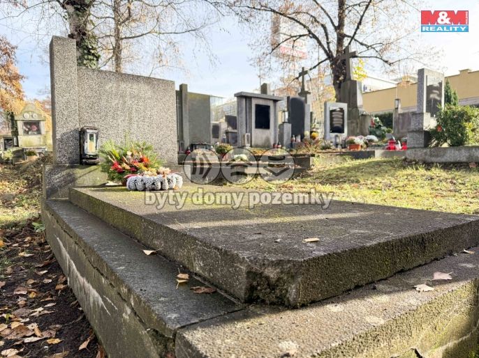 Prodej, Ostatní, Plzeň