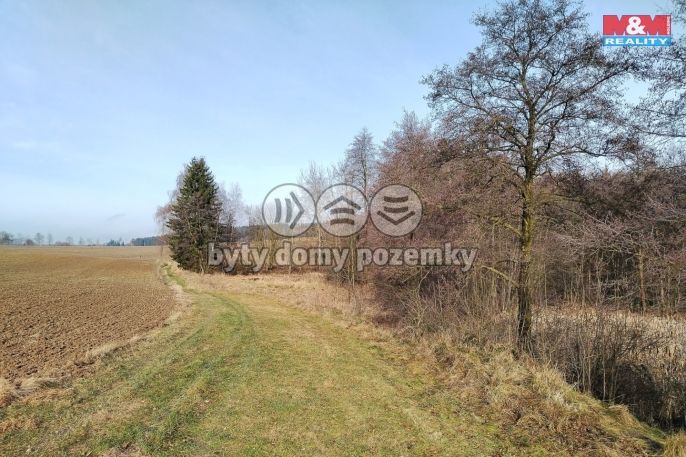 Prodej, Vodní plocha, Velká Losenice