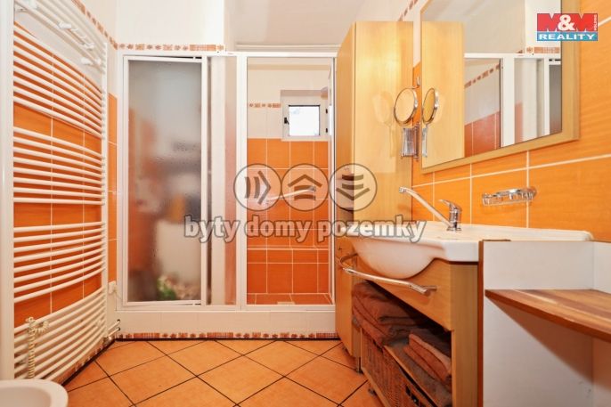 Prodej, Rodinný dům, Bořetice