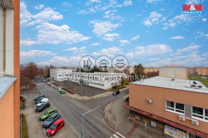 Prodej, Byt 3+1, Nová Role