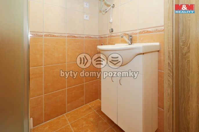 Prodej, Ostatní, Lípa