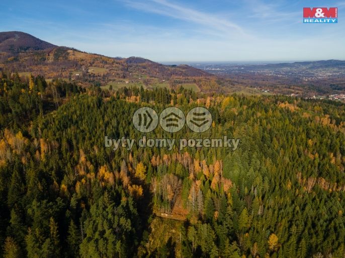 Prodej, Pastvina, Milíkov