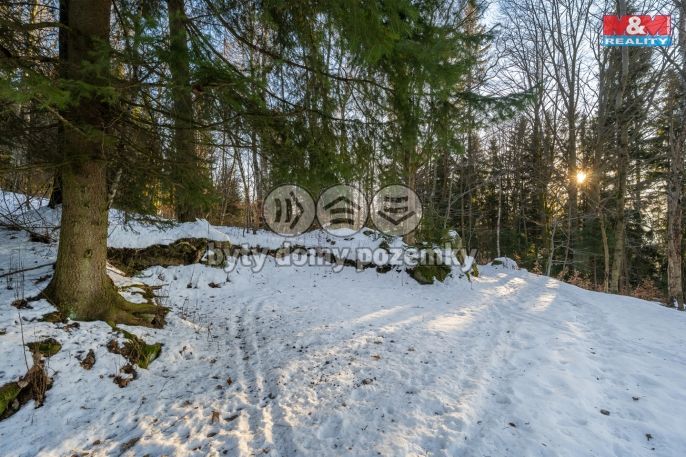 Prodej, Chalupa, Tanvald