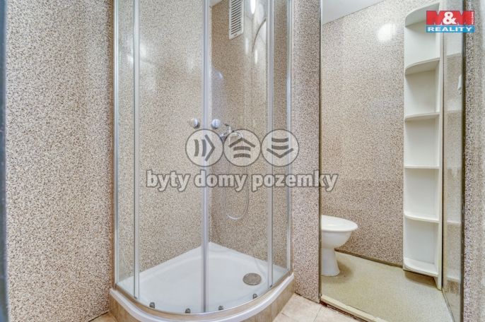 Pronájem, Byt 1+kk, Plzeň