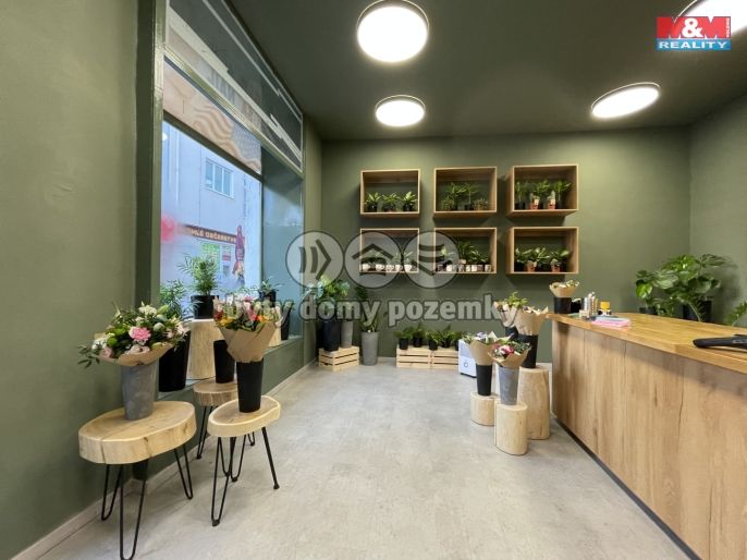 Prodej, Rodinný dům, Louny