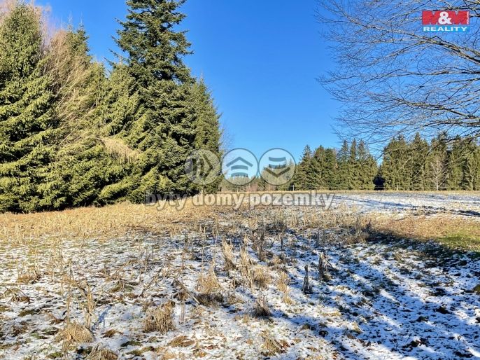 Prodej, Rodinný dům, Nový Rychnov